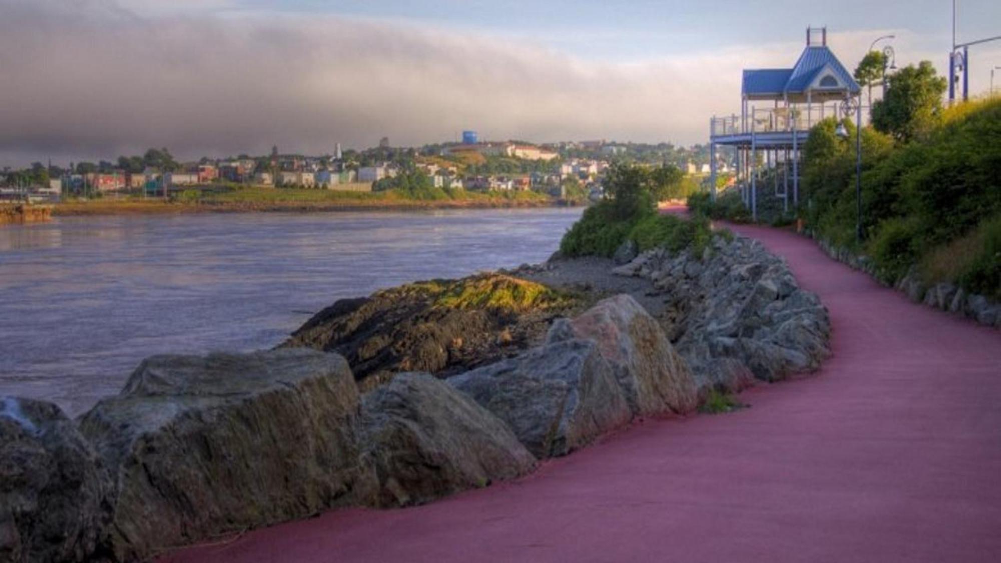 Holiday Inn Express Hotel & Suites Saint John Harbour Side By Ihg Eksteriør billede